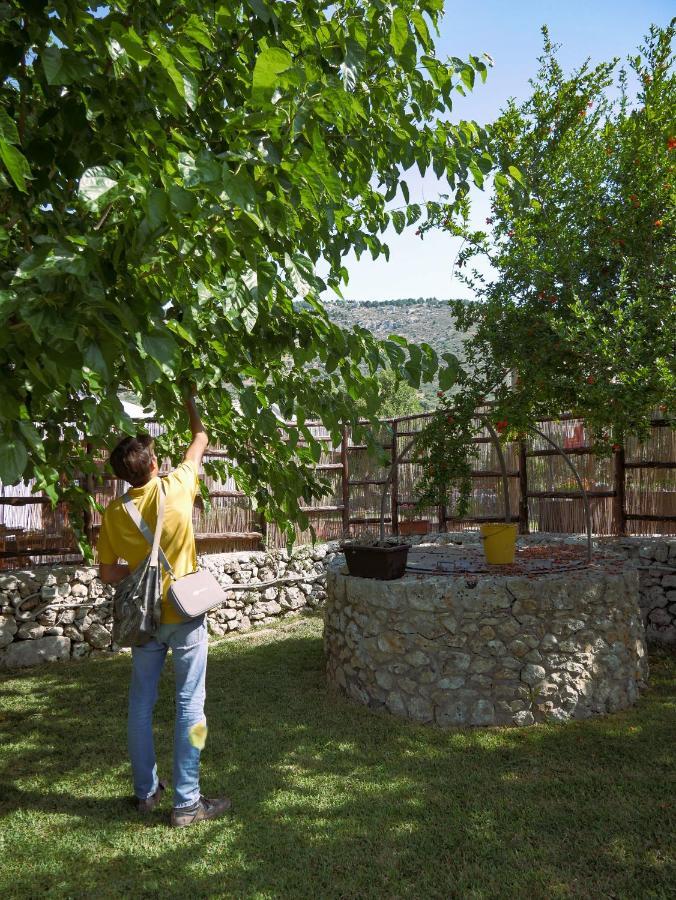 Pantalica Ranch Agriturismo Siciliano Villa Sortino Dış mekan fotoğraf
