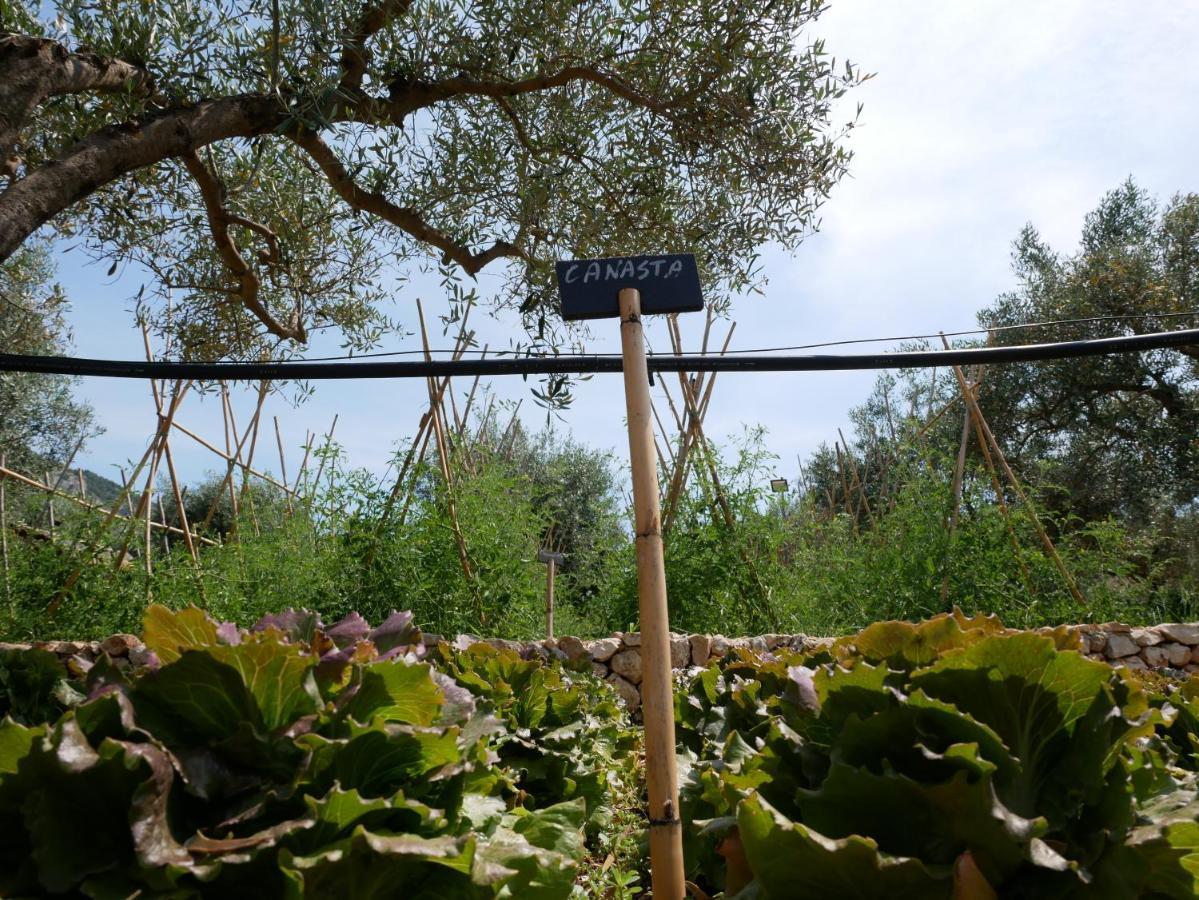 Pantalica Ranch Agriturismo Siciliano Villa Sortino Dış mekan fotoğraf